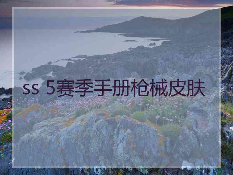 ss 5赛季手册枪械皮肤