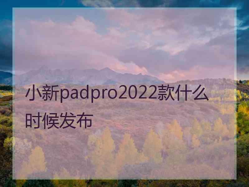 小新padpro2022款什么时候发布