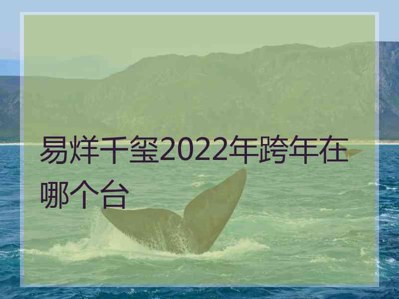 易烊千玺2022年跨年在哪个台