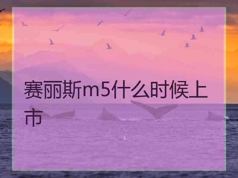 赛丽斯m5什么时候上市