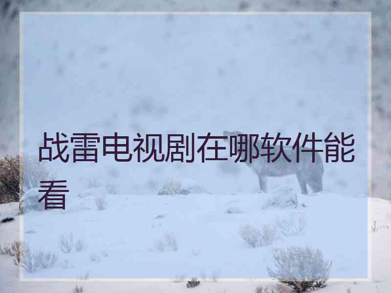 战雷电视剧在哪软件能看