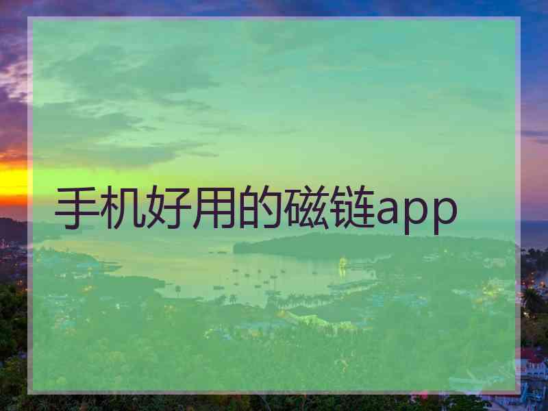 手机好用的磁链app