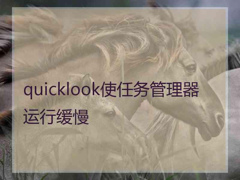 quicklook使任务管理器运行缓慢