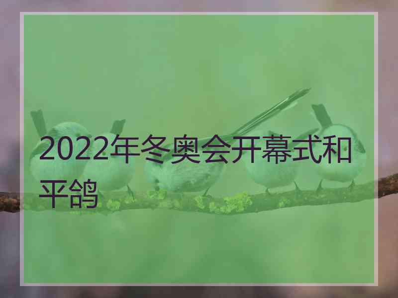 2022年冬奥会开幕式和平鸽