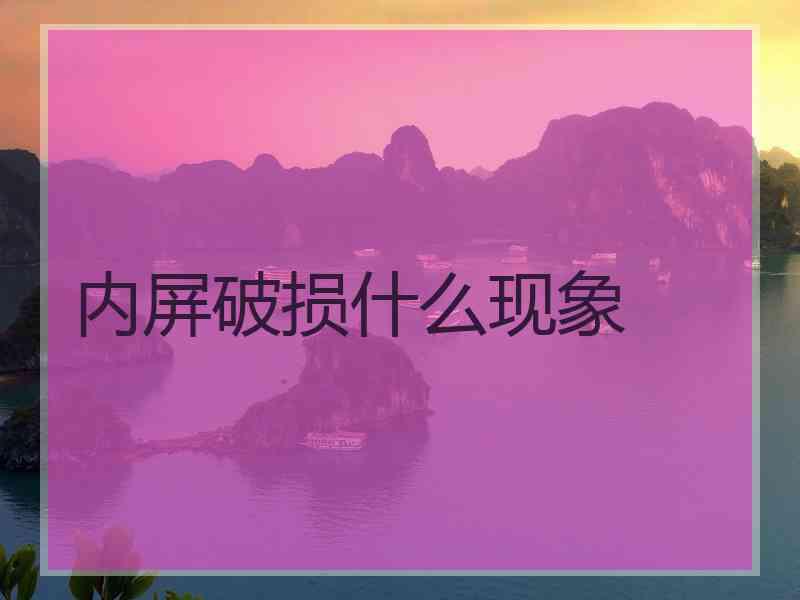 内屏破损什么现象