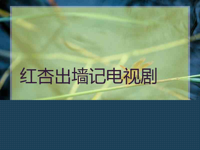 红杏出墙记电视剧