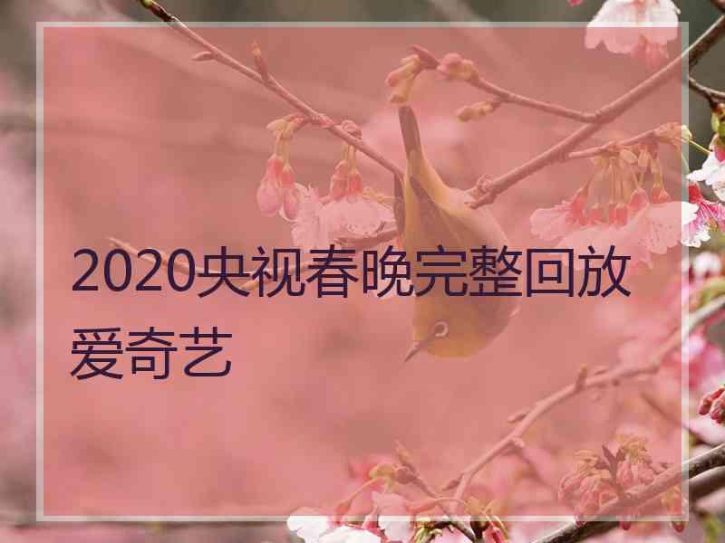 2020央视春晚完整回放爱奇艺