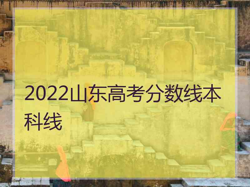 2022山东高考分数线本科线
