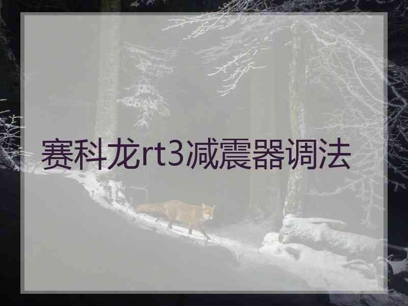 赛科龙rt3减震器调法