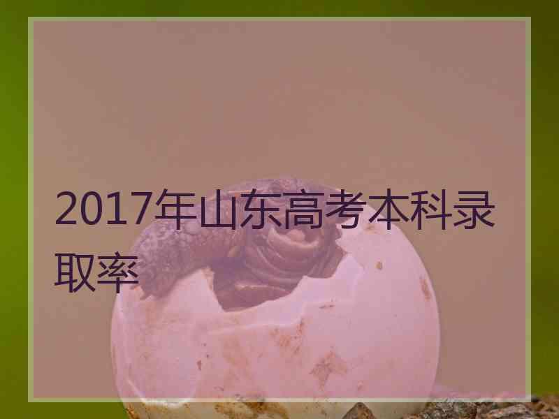 2017年山东高考本科录取率