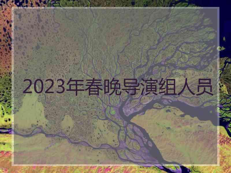 2023年春晚导演组人员