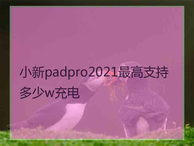 小新padpro2021最高支持多少w充电