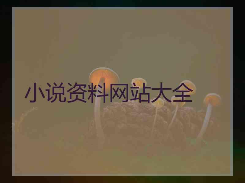 小说资料网站大全