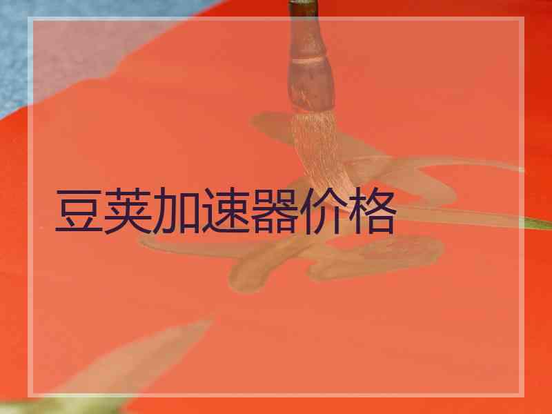豆荚加速器价格