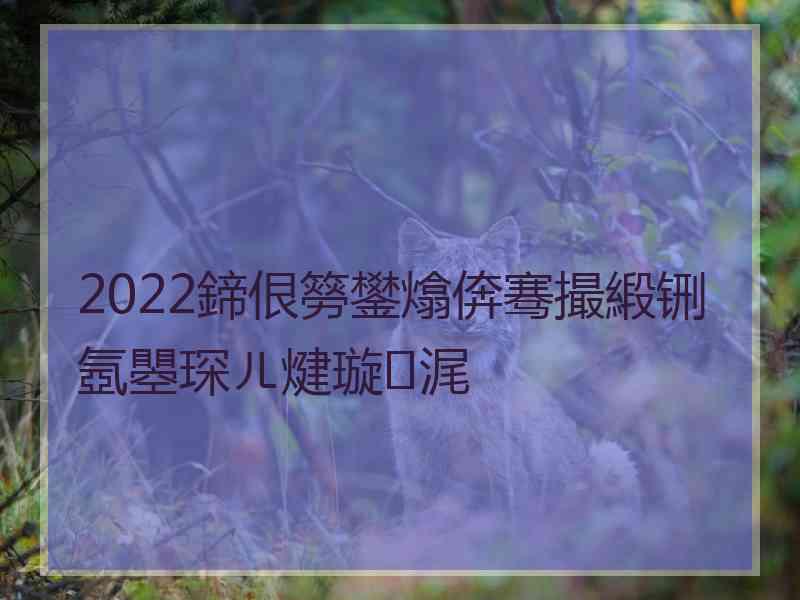 2022鍗佷簩鐢熻倴骞撮緞铏氬瞾琛ㄦ煡璇㈠浘