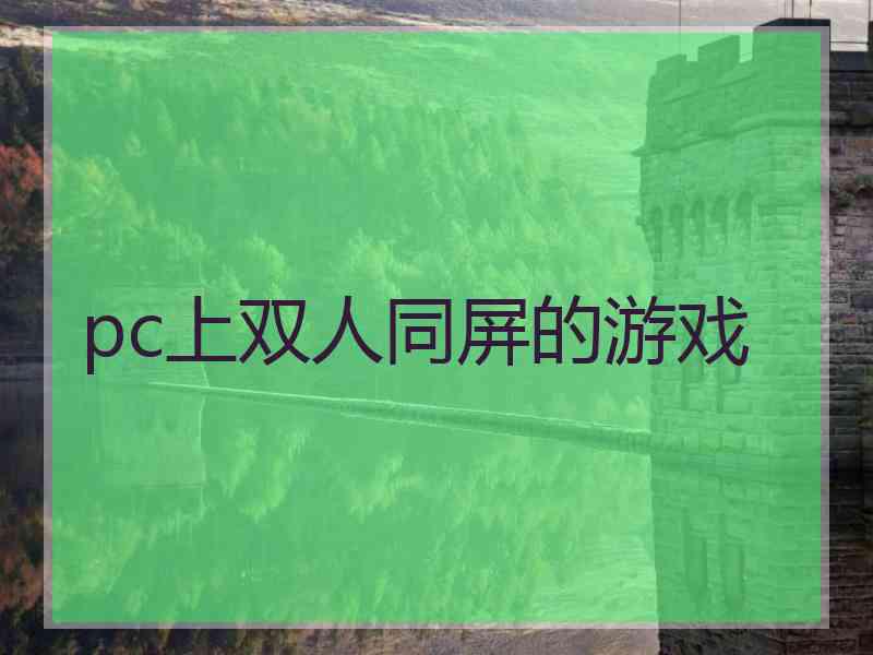 pc上双人同屏的游戏
