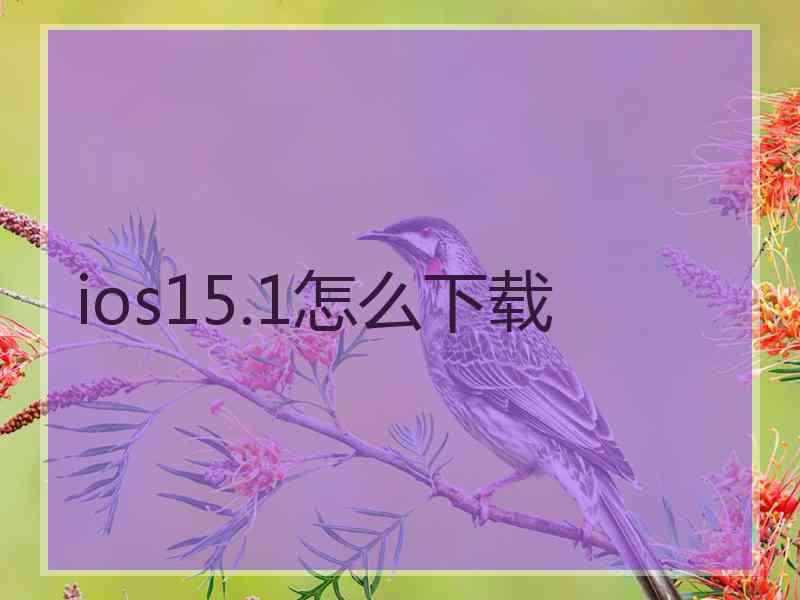 ios15.1怎么下载