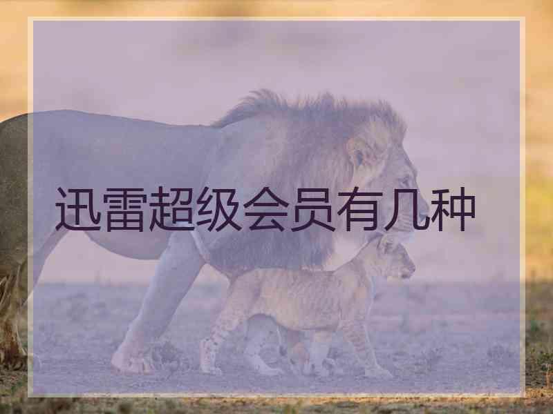 迅雷超级会员有几种