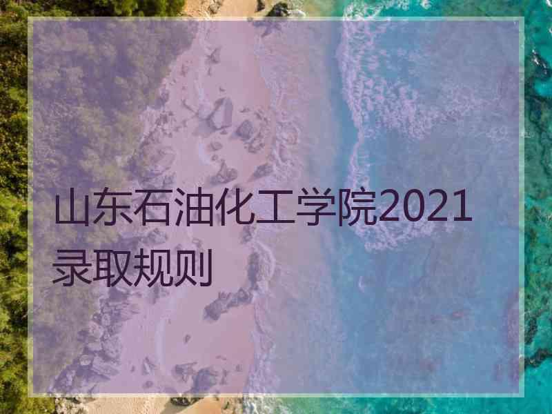 山东石油化工学院2021录取规则