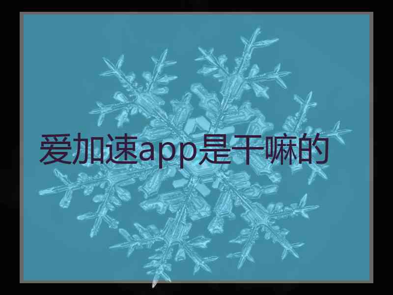 爱加速app是干嘛的