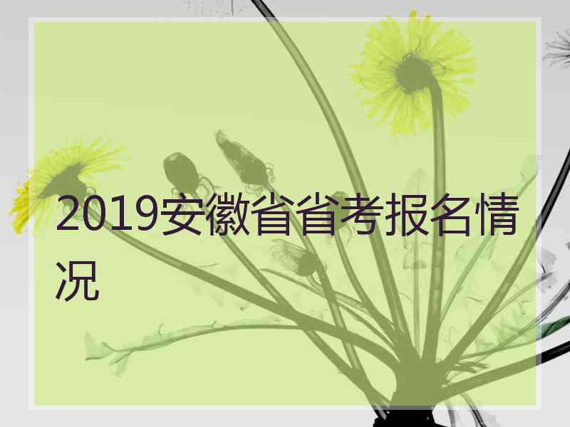 2019安徽省省考报名情况