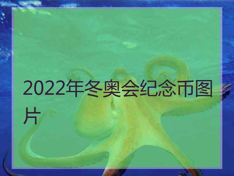 2022年冬奥会纪念币图片