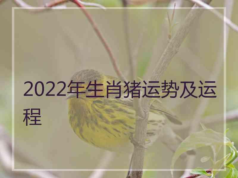 2022年生肖猪运势及运程
