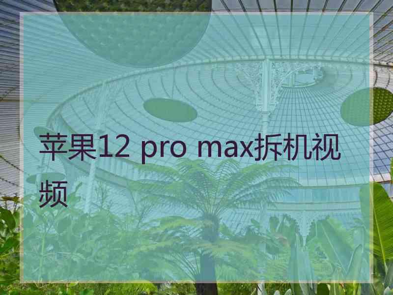 苹果12 pro max拆机视频