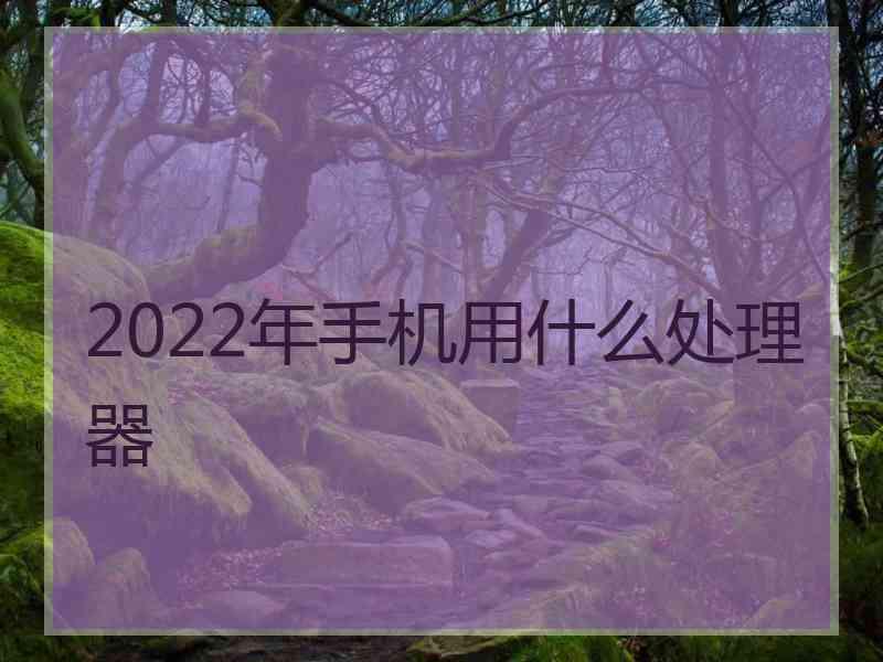 2022年手机用什么处理器