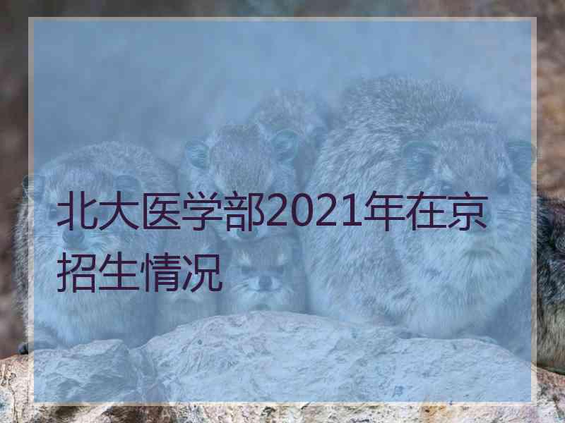 北大医学部2021年在京招生情况