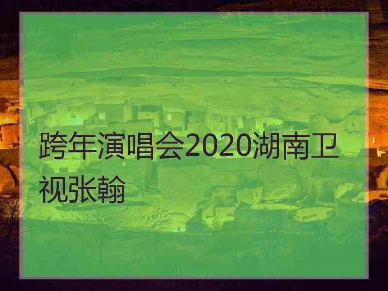 跨年演唱会2020湖南卫视张翰