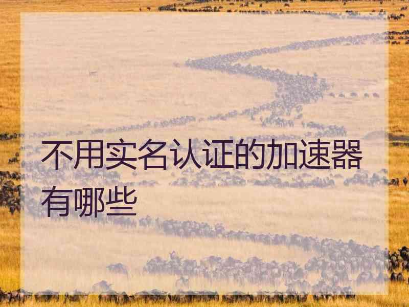 不用实名认证的加速器有哪些