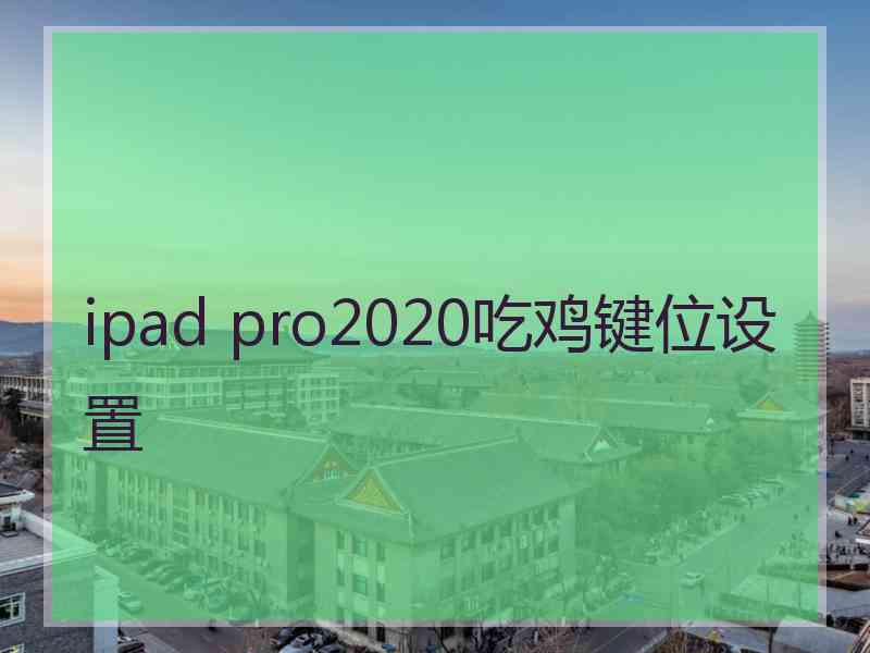 ipad pro2020吃鸡键位设置