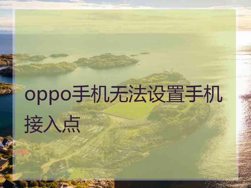 oppo手机无法设置手机接入点