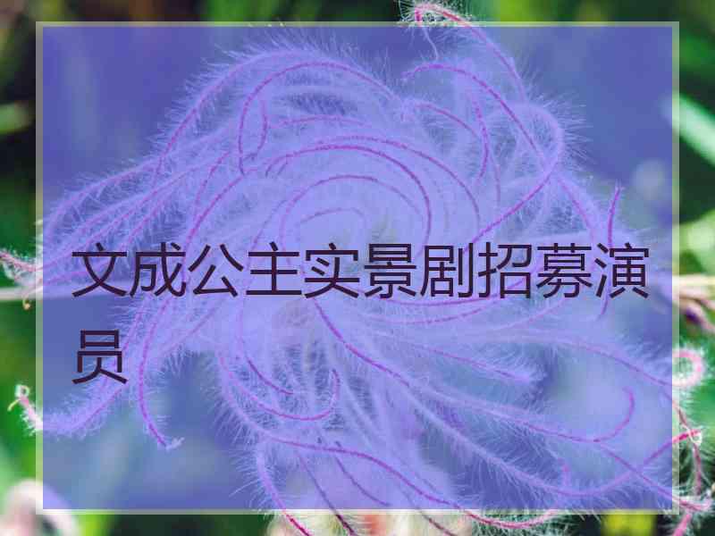 文成公主实景剧招募演员