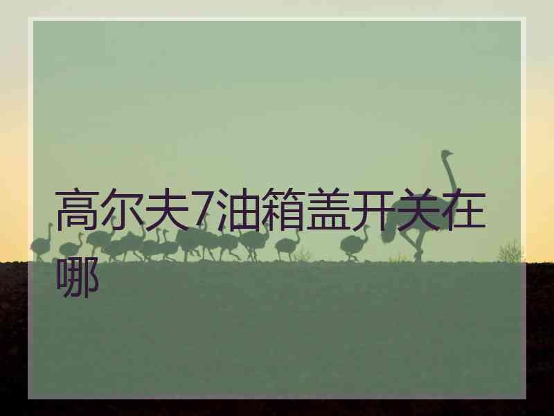 高尔夫7油箱盖开关在哪