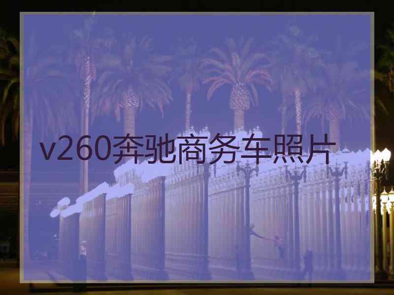 v260奔驰商务车照片