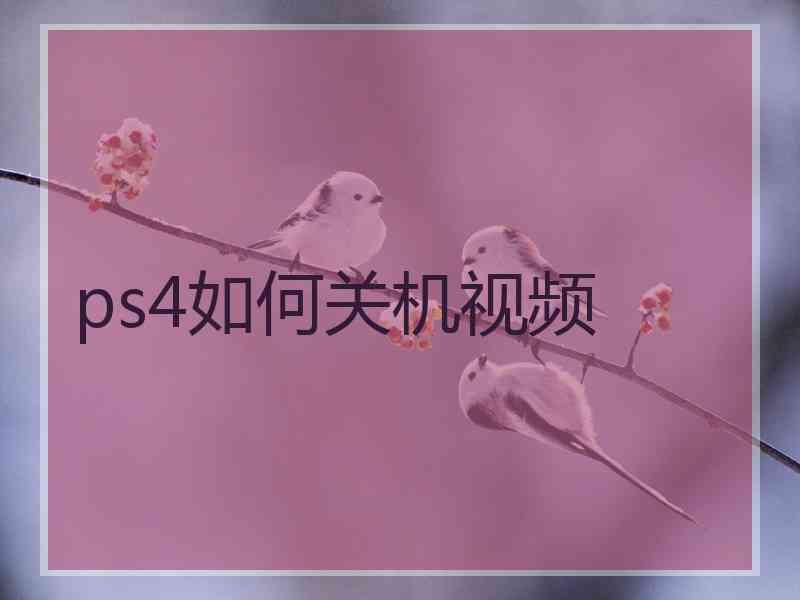 ps4如何关机视频