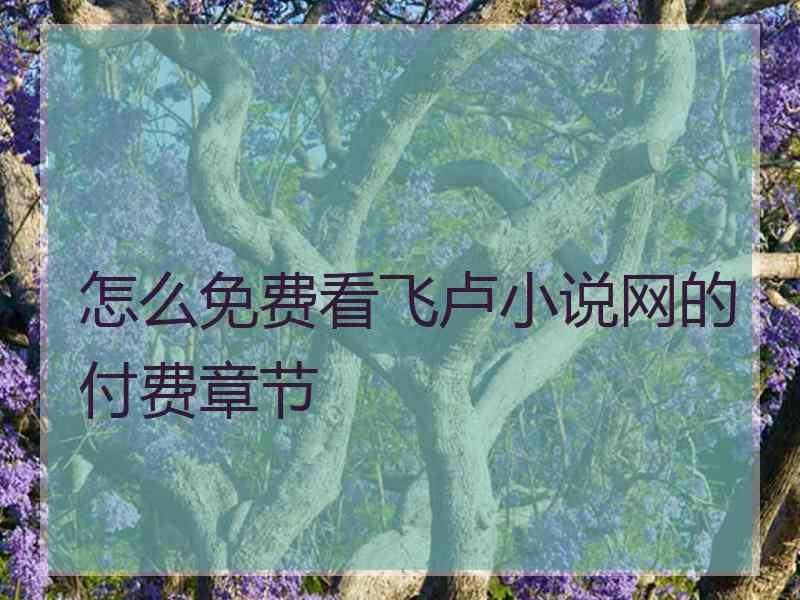 怎么免费看飞卢小说网的付费章节