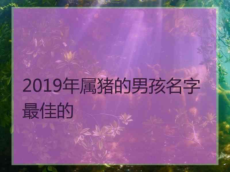 2019年属猪的男孩名字最佳的