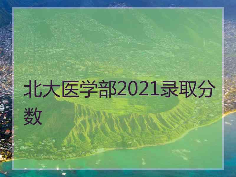 北大医学部2021录取分数