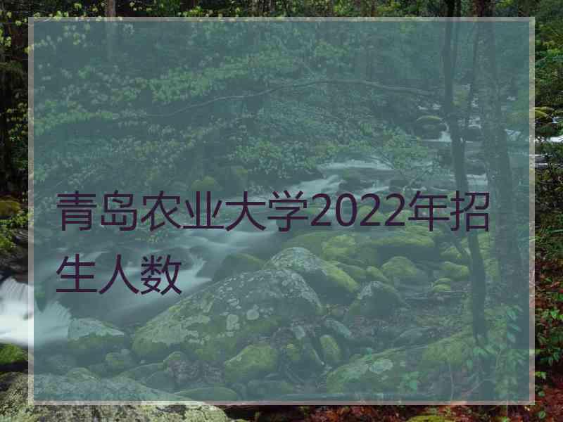 青岛农业大学2022年招生人数