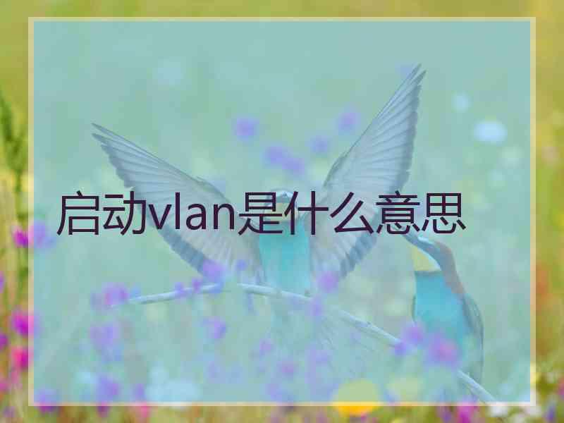 启动vlan是什么意思