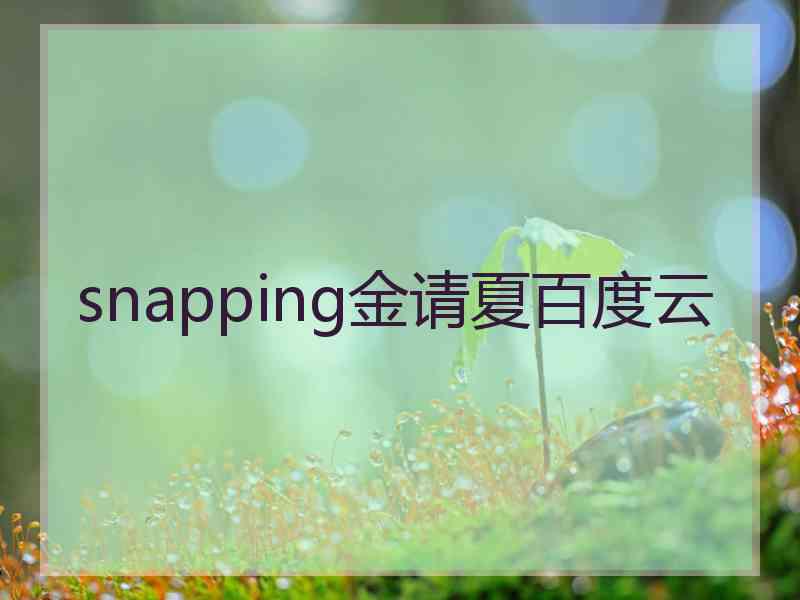 snapping金请夏百度云