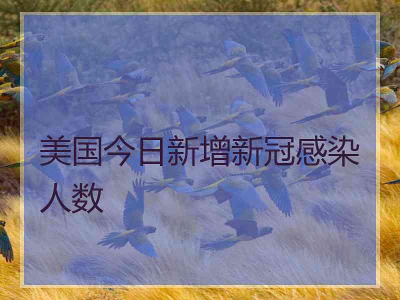美国今日新增新冠感染人数