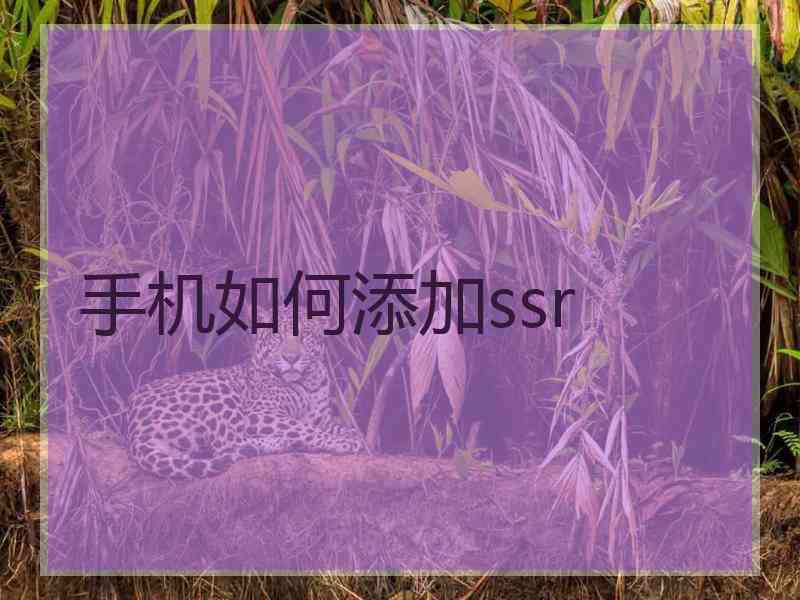 手机如何添加ssr