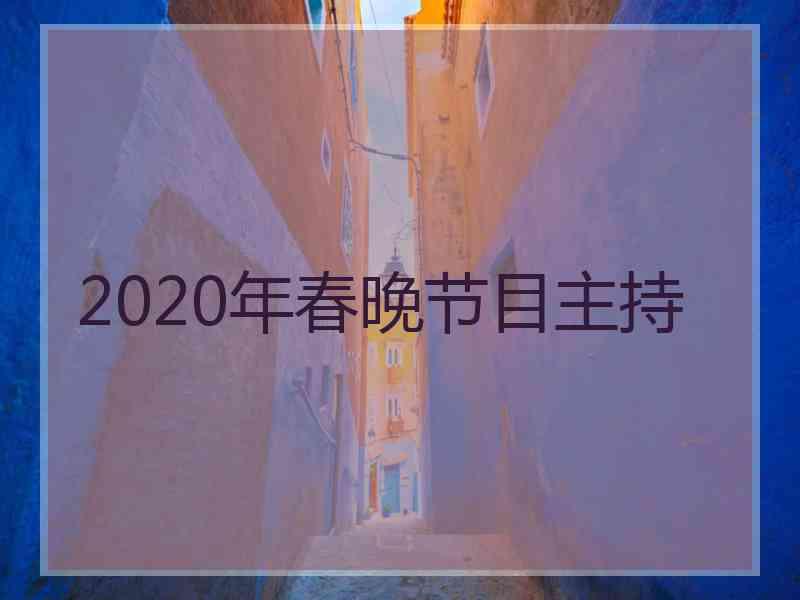 2020年春晚节目主持