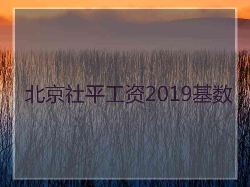 北京社平工资2019基数
