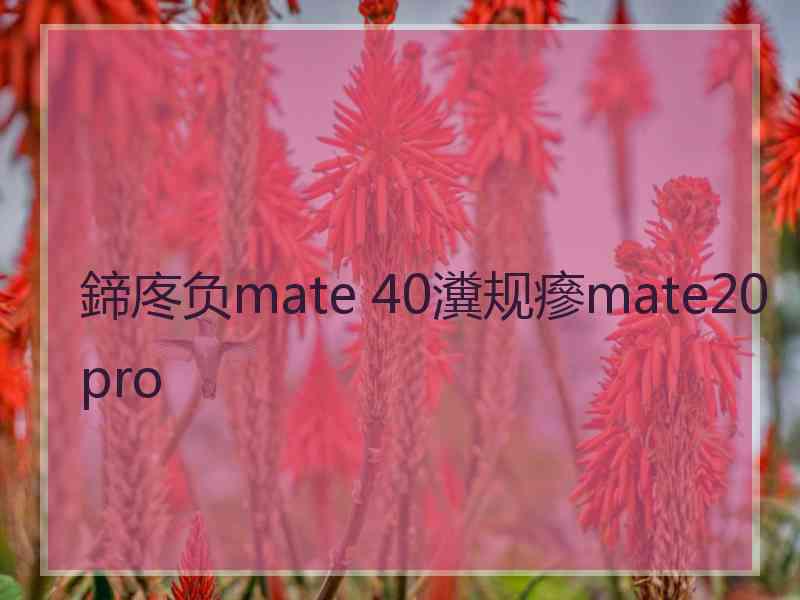 鍗庝负mate 40瀵规瘮mate20pro