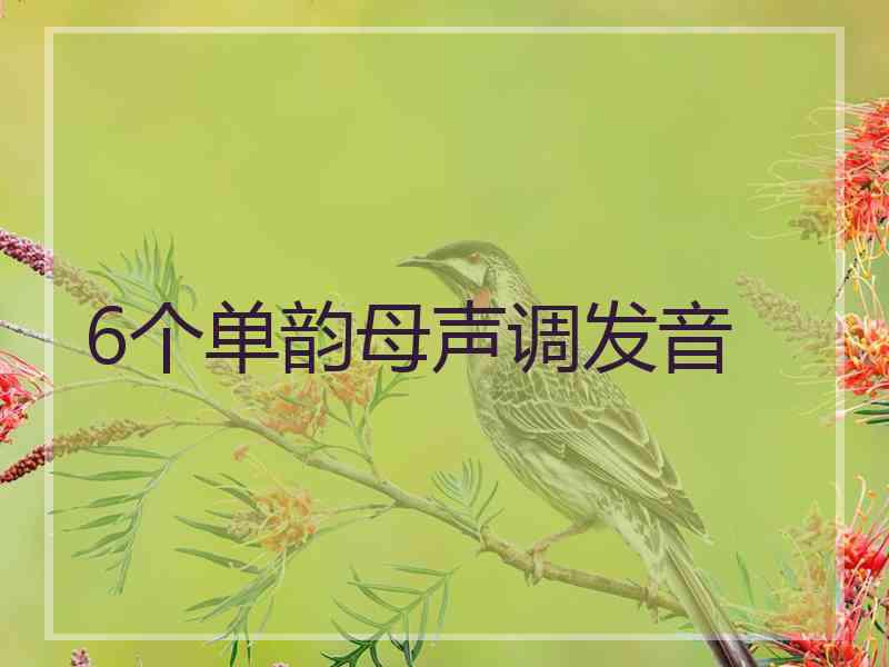 6个单韵母声调发音